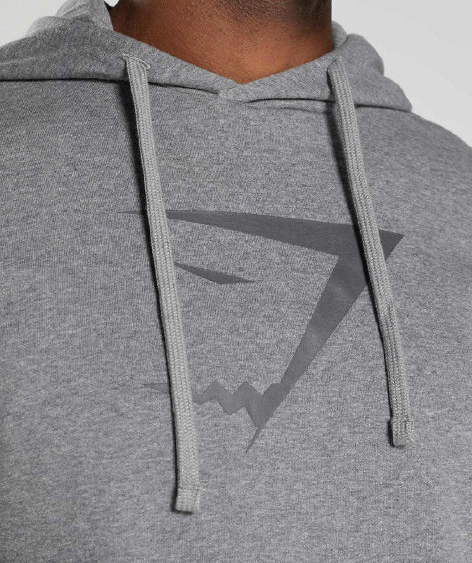 Sudadera Con Capucha Gymshark Sharkhead Infill Hombre Gris | CO 3610PJJ